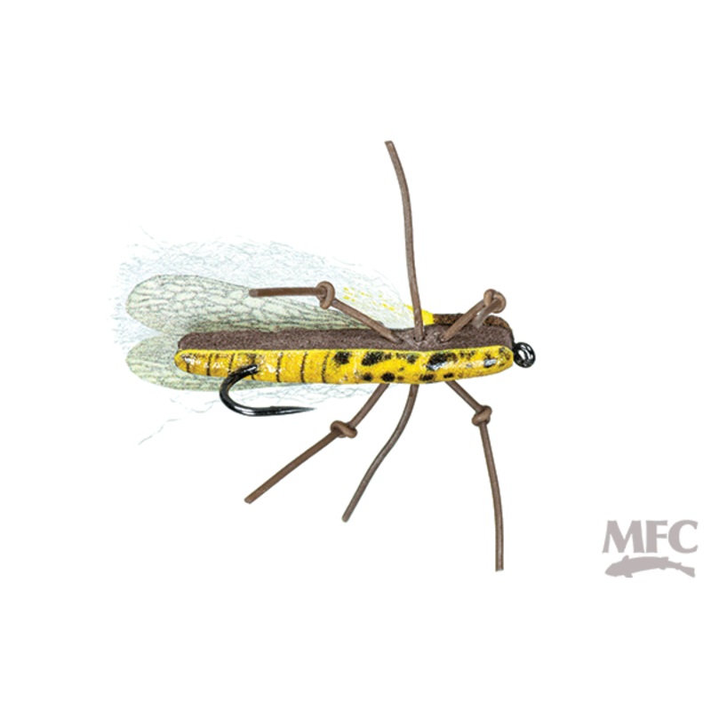 Trina’s Golden|8|10|12