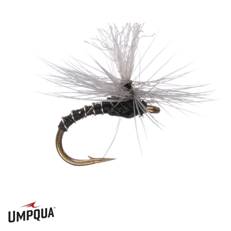 No Mercy Para Midge – Black|18|20|22|24|26