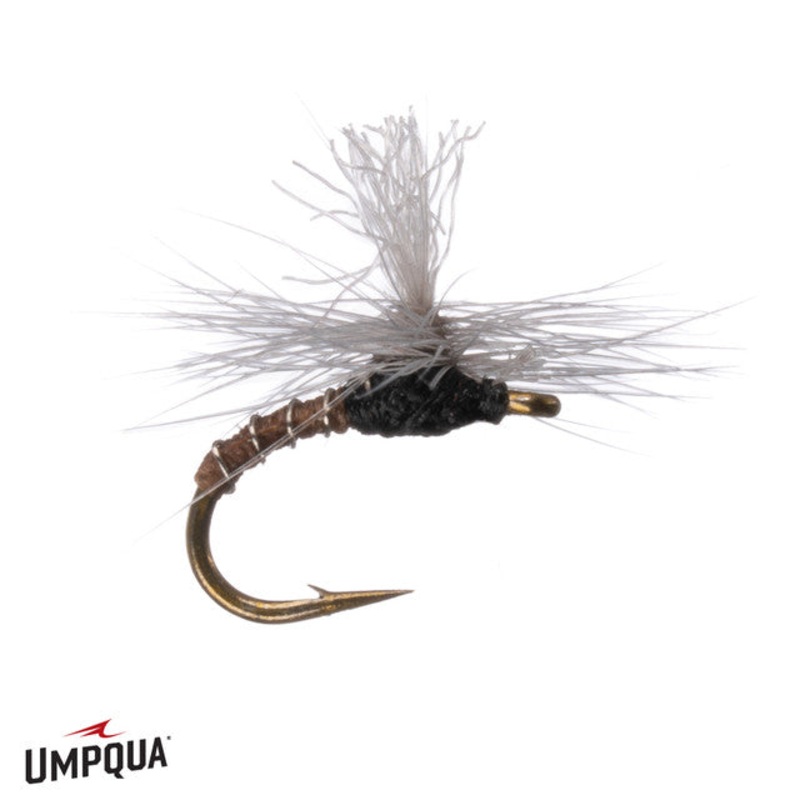 No Mercy Para Midge – Camel|18|20|22|24|26