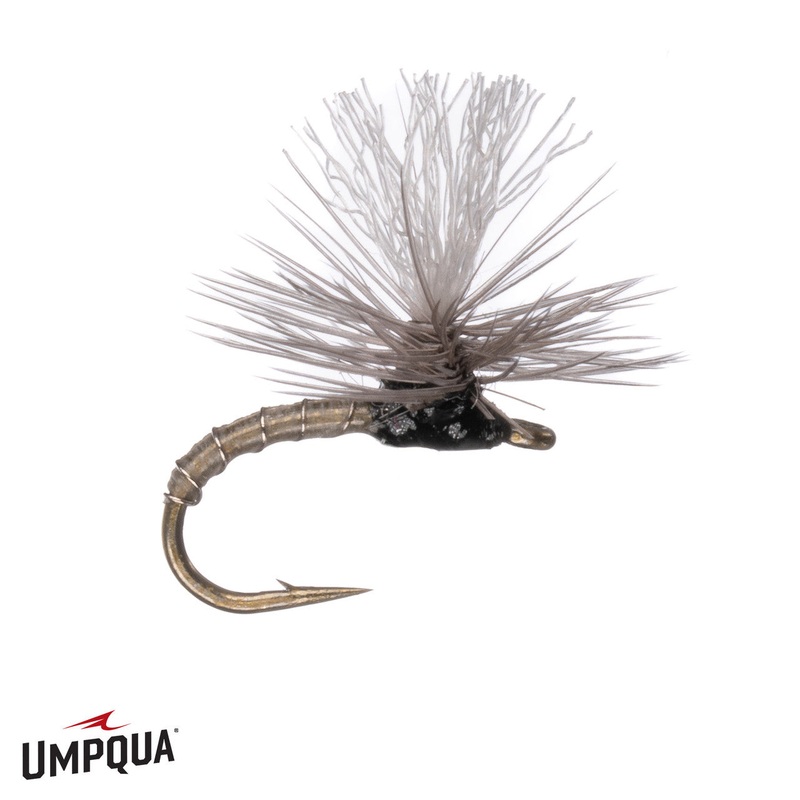 No Mercy Para Midge – Cream|18|20|22|24|26