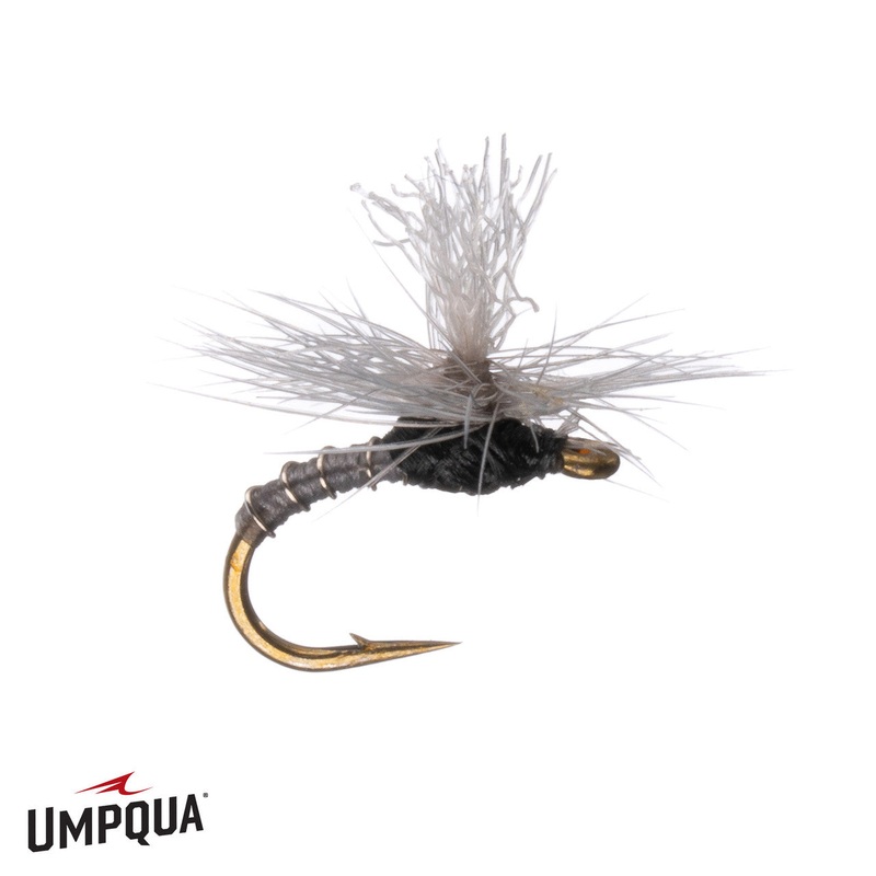 No Mercy Para Midge – Gray|18|20|22|24|26