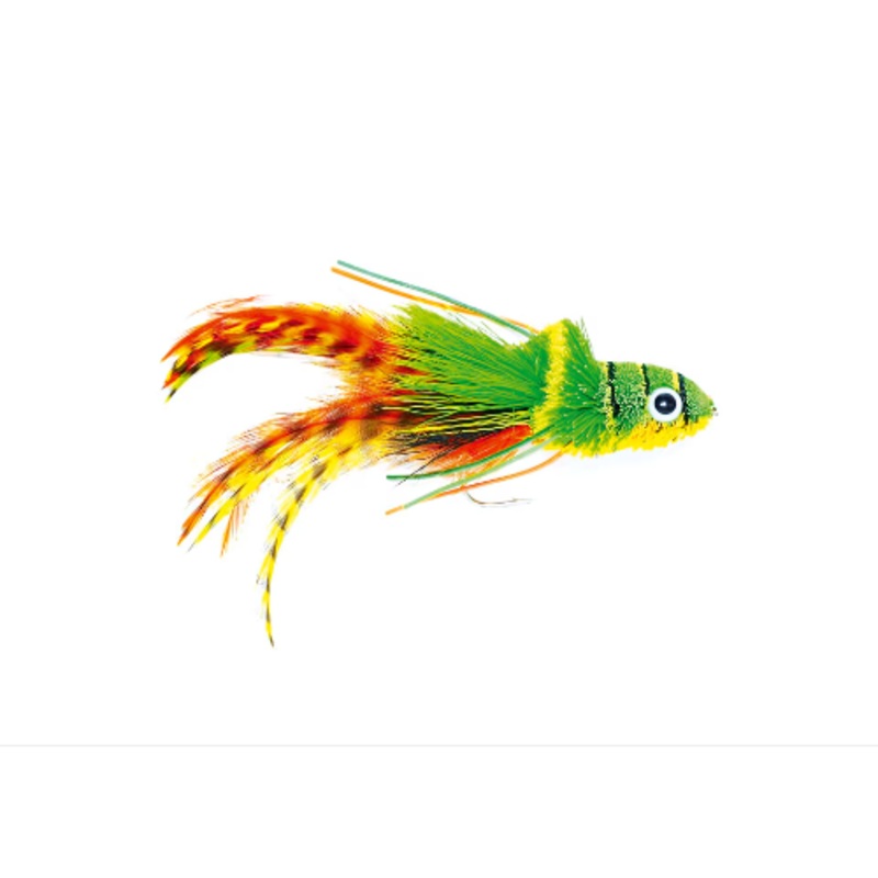 Swimming Frog Orange Belly|2