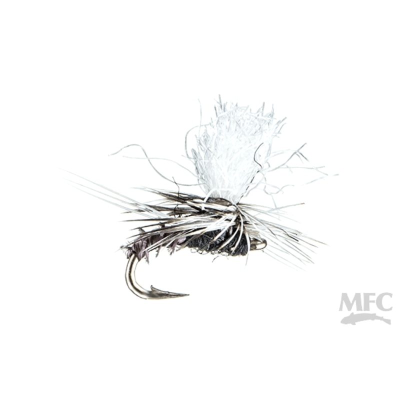 Christiaens’ GT Adult – Trico|20|22