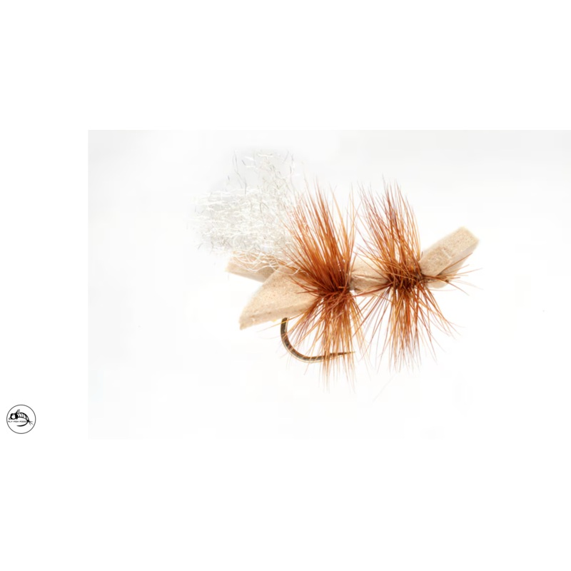 Galactic Ant – Tan|10|14