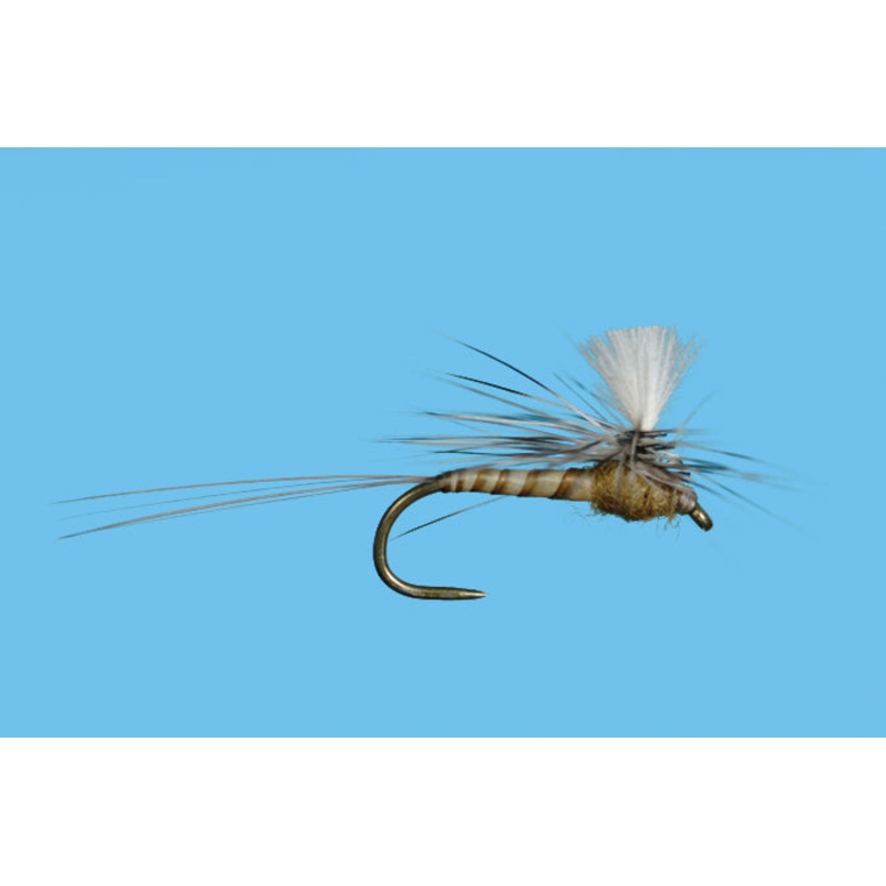 Harrop’s CDC Parachute Spinner – Flavilinea