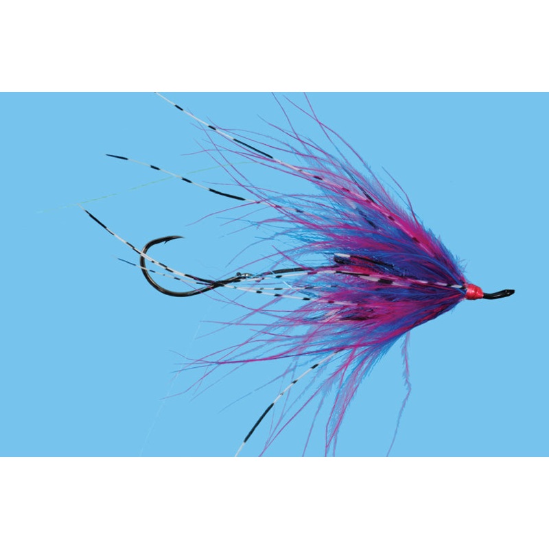Hoh Bo Spey – Cherise/Blue
