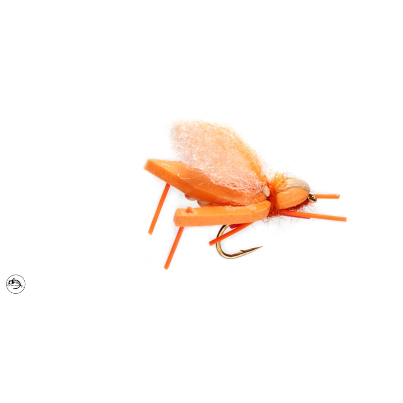 Hoptimus Prime – Indicator Orange