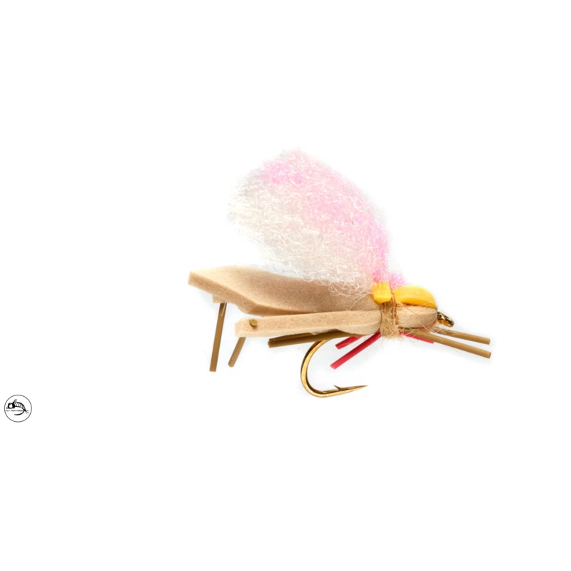 Hoptimus Prime – Tan, Gold & Pink