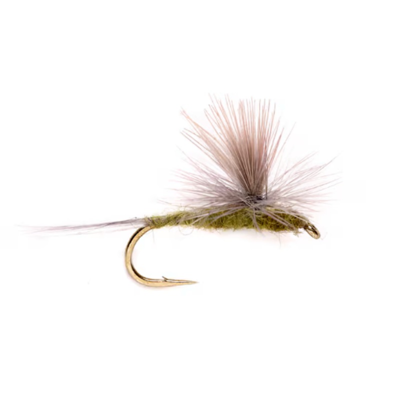 BWO Parachute|14|16|18|20