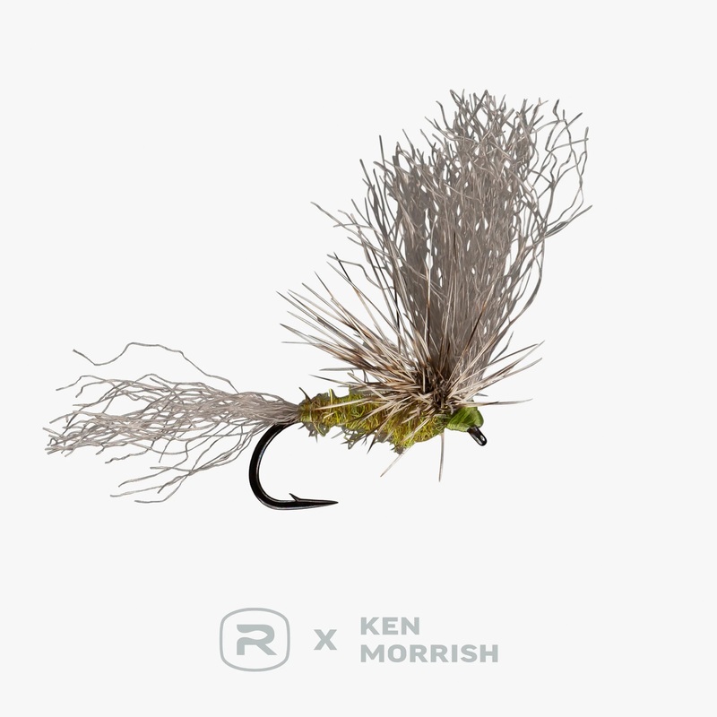 RIO’s Morrish May Day – BWO|15|17|19