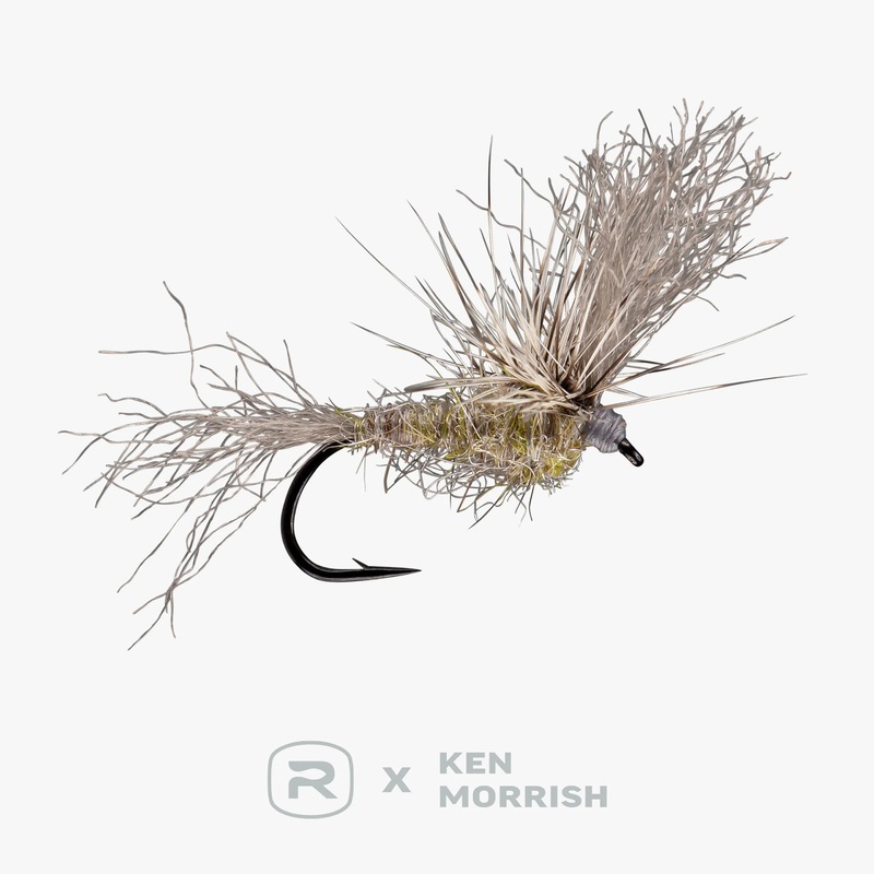 RIO’s Morrish May Day – Callibaetis