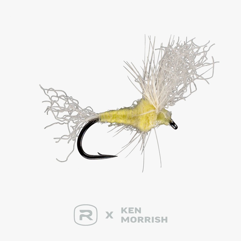 RIO’s Morrish May Day – PMD|17|19