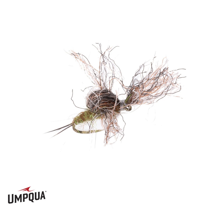 Timmy Emerger – Olive|16|18|20|22|24