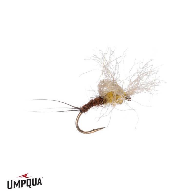 Timmy Emerger – PMD|16|18