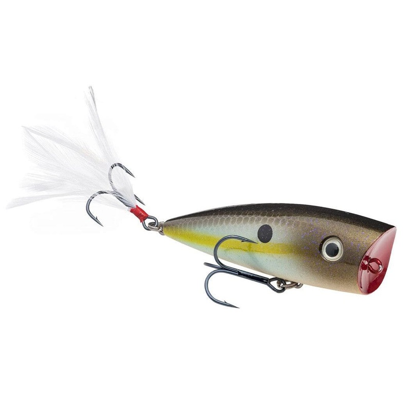Strike King Hc Kvd Splash Summer Sexy Shad